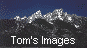 Tom's Image Page